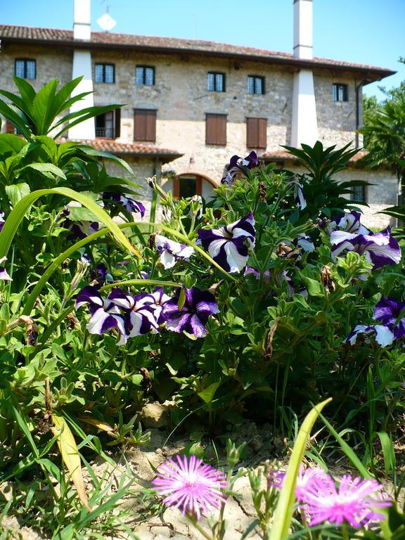 Asiola Farm stay